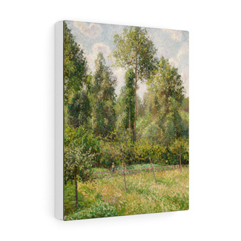  French- Stretched Canvas,Poplars, Eragny, 1895, Camille Pissarro, French, Stretched Canvas,Poplars, Eragny, 1895, Camille Pissarro, French- Stretched Canvas,Poplars, Eragny, 1895, Camille Pissarro