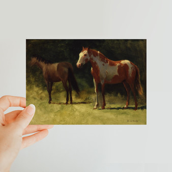 Albert Bierstadt's Two Horses -  Classic Postcard - (FREE SHIPPING)