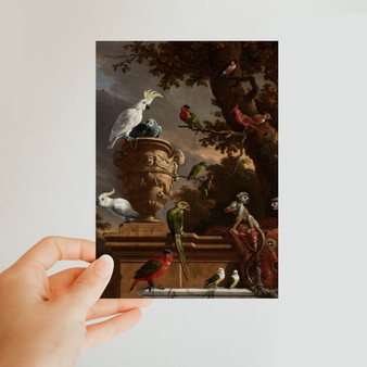 The Menagerie, Melchior d'Hondecoeter, c. 1690 -  Classic Postcard - (FREE SHIPPING)