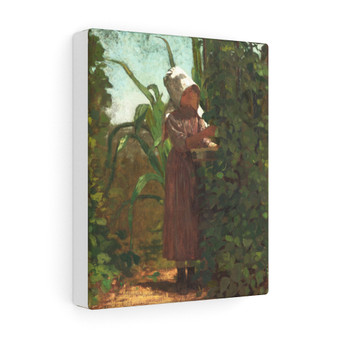 The Bean Picker (ca. 1875) by Winslow Homer , Stretched Canvas,The Bean Picker (ca. 1875) by Winslow Homer - Stretched Canvas