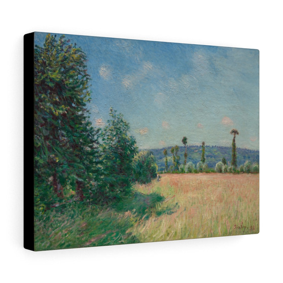  Alfred Sisley, British- Stretched Canvas,Sahurs Meadows in Morning Sun, 1894, Alfred Sisley, British, Stretched Canvas,Sahurs Meadows in Morning Sun, 1894, Alfred Sisley, British- Stretched Canvas,Sahurs Meadows in Morning Sun, 1894