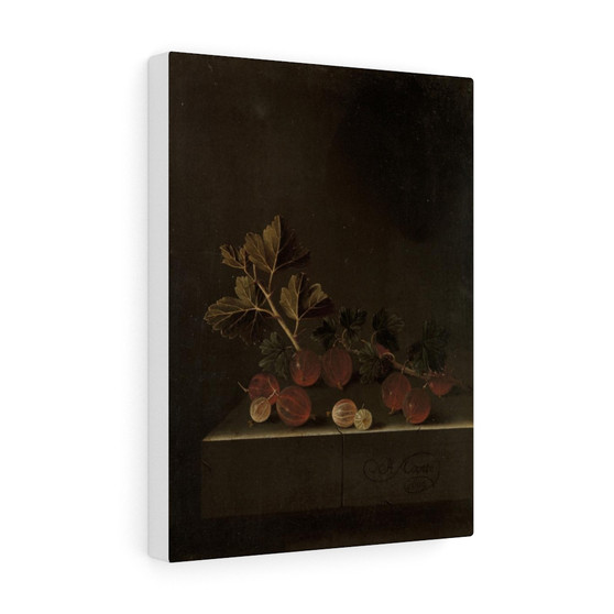 A Sprig of Gooseberries on a Stone Plinth, Adriaen Coorte  ,  Stretched Canvas,A Sprig of Gooseberries on a Stone Plinth, Adriaen Coorte  -  Stretched Canvas,A Sprig of Gooseberries on a Stone Plinth, Adriaen Coorte  -  Stretched Canvas