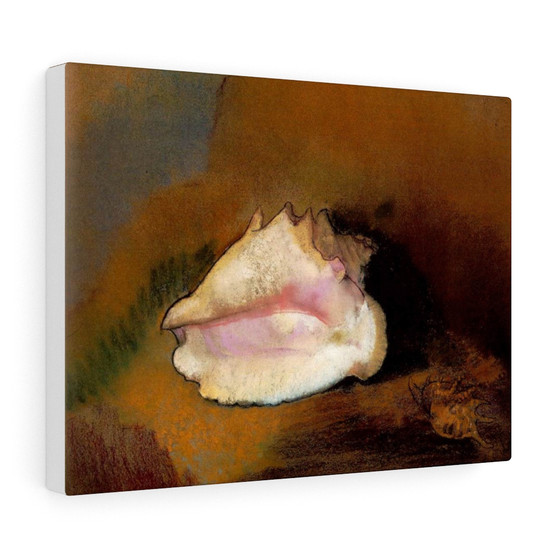 Redon.coquille , Stretched Canvas,Redon.coquille - Stretched Canvas