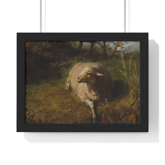 Rosa Bonheur, A Sheep at Rest  ,  Premium Framed Horizontal Poster,Rosa Bonheur, A Sheep at Rest  -  Premium Framed Horizontal Poster,Rosa Bonheur, A Sheep at Rest  -  Premium Framed Horizontal Poster