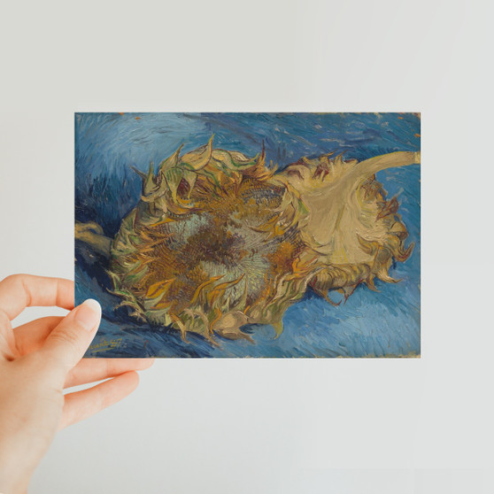 Sunflowers 1887 Vincent van Gogh Dutch -  Classic Postcard - (FREE SHIPPING)