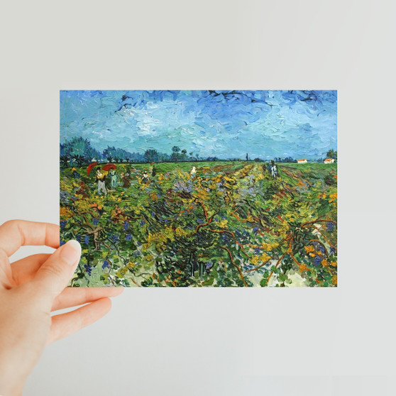Vincent Van Gogh - The Green Vineyard (1888) -  Classic Postcard - (FREE SHIPPING)