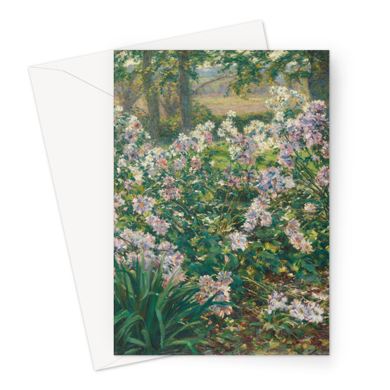 Windflowers 1912 Ruger Donoho American Greeting Card - (FREE SHIPPING)