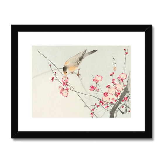 Songbird on blossom branch (1900 - 1936) by Ohara Koson (1877-1945) Framed & Mounted Print