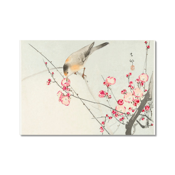 Songbird on blossom branch (1900 - 1936) by Ohara Koson (1877-1945) - Hahnemühle German Etching Print -  (FREE SHIPPING)