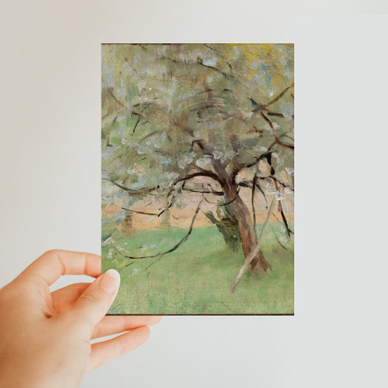 Jan Ciągliński's Apple tree -  Classic Postcard - (FREE SHIPPING)