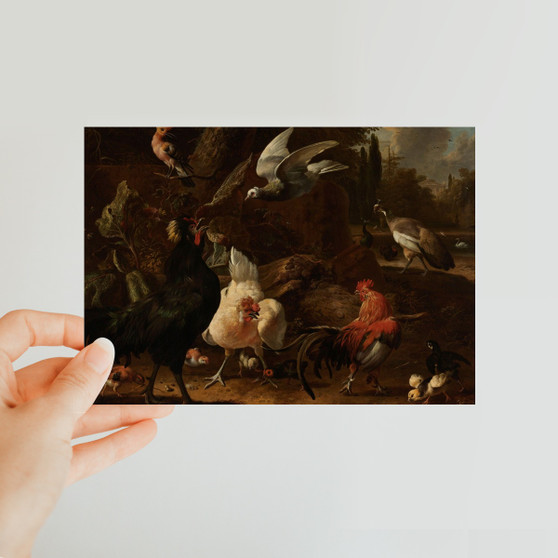 Birds in a Park, Melchior d'Hondecoeter, 1686 -  Classic Postcard - (FREE SHIPPING)