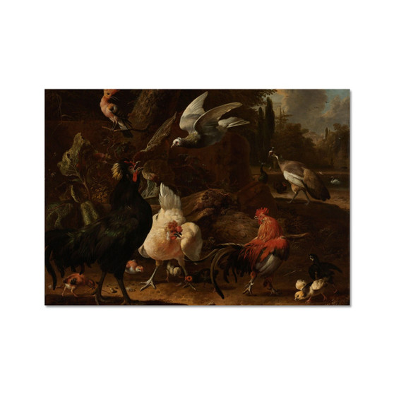 Birds in a Park, Melchior d'Hondecoeter, 1686 -  Hahnemühle German Etching Print - (FREE SHIPPING)