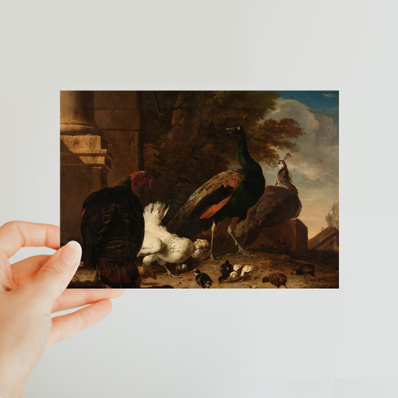 A Hen with Peacocks and a Turkey, Melchior d'Hondecoeter, c. 1680-  Classic Postcard - (FREE SHIPPING)