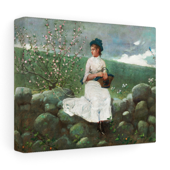 Peach Blossoms (1878) by Winslow Homer , Stretched Canvas,Peach Blossoms (1878) by Winslow Homer - Stretched Canvas