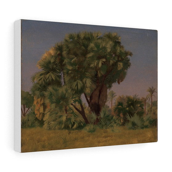  Stretched Canvas,Study of Palm Trees, probably 1868, Jean-Leon Gerome - Stretched Canvas,Study of Palm Trees, probably 1868, Jean-Leon Gerome - Stretched Canvas,Study of Palm Trees, probably 1868, Jean,Leon Gerome 