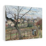 The Fence (1872) by Camille Pissarro, Stretched Canvas,The Fence (1872) by Camille Pissarro- Stretched Canvas