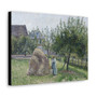 Apple trees in Eragny, sunny morning (1903) by Camille Pissarro- Premium Gallery Wrap