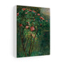 Gustave Caillebotte Le rosier fleuri  ,  Stretched Canvas,Gustave Caillebotte Le rosier fleuri  -  Stretched Canvas