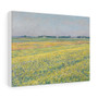 Gustave Caillebotte, The plain of Gennevilliers, yellow fields  -  Stretched Canvas,Gustave Caillebotte, The plain of Gennevilliers, yellow fields  -  Stretched Canvas,Gustave Caillebotte, The plain of Gennevilliers, yellow fields  ,  Stretched Canvas