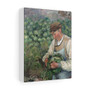 The Gardener , Old Peasant with Cabbage (1883,1895) by Camille Pissarro, Stretched Canvas,The Gardener - Old Peasant with Cabbage (1883-1895) by Camille Pissarro- Stretched Canvas