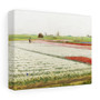  Stretched Canvas,Tulip Fields (1890–1922) by Gerrit Willem Dijsselhof- Stretched Canvas,Tulip Fields (1890–1922) by Gerrit Willem Dijsselhof