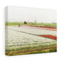 Tulip Fields (1890–1922) by Gerrit Willem Dijsselhof- Stretched Canvas,Tulip Fields (1890–1922) by Gerrit Willem Dijsselhof, Stretched Canvas