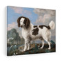 Brown and White Norfolk or Water Spaniel (1778) painting in high resolution by George Stubbs, Stretched Canvas,Brown and White Norfolk or Water Spaniel (1778) painting in high resolution by George Stubbs- Stretched Canvas
