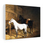 A Grey Pony and a Black Charger in a Stable (1804) by Jacques–Laurent Agasse , Stretched Canvas.,A Grey Pony and a Black Charger in a Stable (1804) by Jacques–Laurent Agasse - Stretched Canvas.