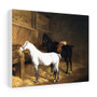A Grey Pony and a Black Charger in a Stable (1804) by Jacques–Laurent Agasse , Stretched Canvas.,A Grey Pony and a Black Charger in a Stable (1804) by Jacques–Laurent Agasse - Stretched Canvas.