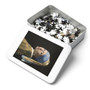 Vermeer's Girl with Pearl Earings , Jigsaw Puzzle (252, 500, 1000,Piece),Vermeer's Girl with Pearl Earings - Jigsaw Puzzle (252, 500, 1000-Piece),Vermeer's Girl with Pearl Earings - Jigsaw Puzzle (252, 500, 1000-Piece)