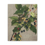 Blackberries (1887) by L. Prang & Co - Stretched Canvas