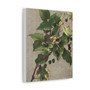 Blackberries (1887) by L. Prang & Co - Stretched Canvas