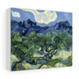  Stretched Canvas,Vincent van Gogh's Olive Trees with the Alpilles in the Background (1889)- Stretched Canvas,Vincent van Gogh's Olive Trees with the Alpilles in the Background (1889)