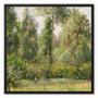 Poplars, Éragny, 1895, Camille Pissarro, French -  Framed Canvas