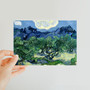 Vincent van Gogh's Olive Trees with the Alpilles in the Background (1889) -  Classic Postcard - (FREE SHIPPING)