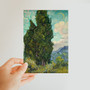 Cypresses 1889 Vincent van Gogh Dutch-  Classic Postcard - (FREE SHIPPING)