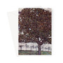 Gustav Klimt's Der Apfelbaum (1916) -  Greeting Card - (FREE SHIPPING)