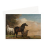 Two Horses in a Pasture by a Fence, Paulus Potter, 1649 -  Greeting Card - (FREE SHIPPING)