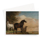 Two Horses in a Pasture by a Fence, Paulus Potter, 1649 -  Greeting Card - (FREE SHIPPING)