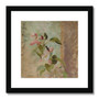 Jan Ciągliński's Apple blossoms (1828) -  Framed & Mounted Print