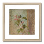 Jan Ciągliński's Apple blossoms (1828) -  Framed & Mounted Print