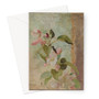 Jan Ciągliński's Apple blossoms (1828) -  Greeting Card - (FREE SHIPPING)