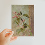 Jan Ciągliński's Apple blossoms (1828) -  Classic Postcard - (FREE SHIPPING)