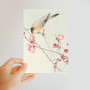 Songbird on blossom branch (1900 - 1936) by Ohara Koson (1877-1945) Classic Postcard - (FREE SHIPPING)