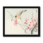 Songbird on blossom branch (1900 - 1936) by Ohara Koson (1877-1945) Framed Print