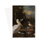 A Pelican and other Birds near a Pool, Known as ‘The Floating Feather’, Melchior d'Hondecoeter, c. 1680 -  Greeting Card