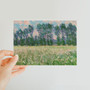 Prairie à Giverny by Claude Monet, 1885 Classic Postcard