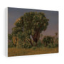  Stretched Canvas,Study of Palm Trees, probably 1868, Jean-Leon Gerome - Stretched Canvas,Study of Palm Trees, probably 1868, Jean-Leon Gerome - Stretched Canvas,Study of Palm Trees, probably 1868, Jean,Leon Gerome 