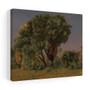  Jean-Leon Gerome - Stretched Canvas,Study of Palm Trees, probably 1868, Jean,Leon Gerome , Stretched Canvas,Study of Palm Trees, probably 1868, Jean-Leon Gerome - Stretched Canvas,Study of Palm Trees, probably 1868