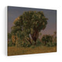 Study of Palm Trees, probably 1868, Jean,Leon Gerome , Stretched Canvas,Study of Palm Trees, probably 1868, Jean-Leon Gerome - Stretched Canvas,Study of Palm Trees, probably 1868, Jean-Leon Gerome - Stretched Canvas